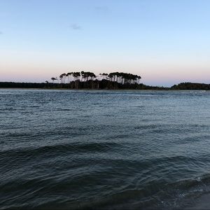 Meet your Posher, Chad